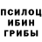 Галлюциногенные грибы мицелий Seraphim Brough