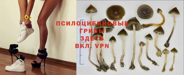 альфа пвп Новый Уренгой