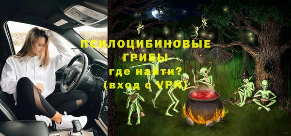 гидра Медногорск