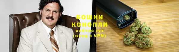 гидра Медногорск