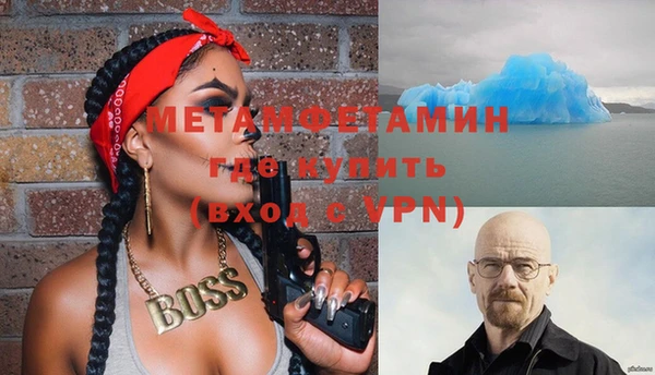 шишки Мегион