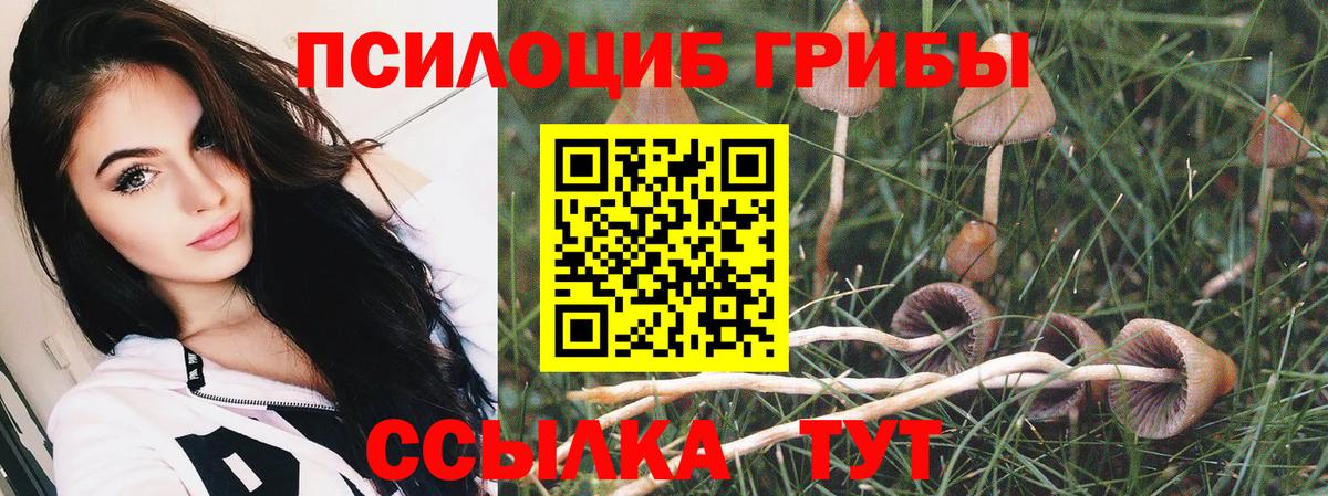 Галлюциногенные грибы GOLDEN TEACHER  Вход с VPN  Дальнереченск 